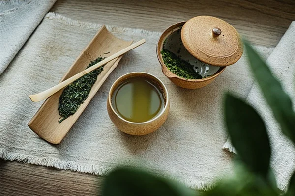 間接光とは？植物を元気に育てるフィルターライトの秘訣